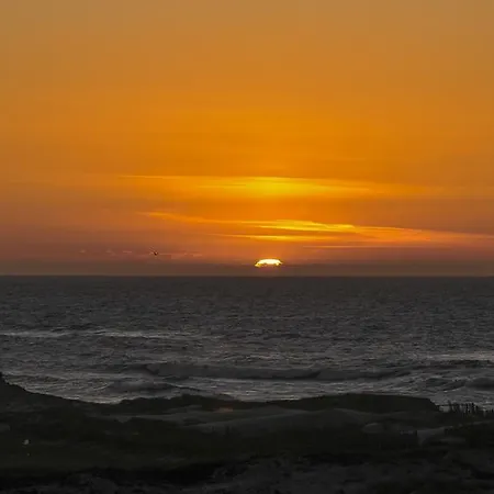 Del Rey Bythe Pools *